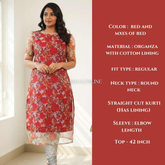 Khwaab - Organza Kurti with lining